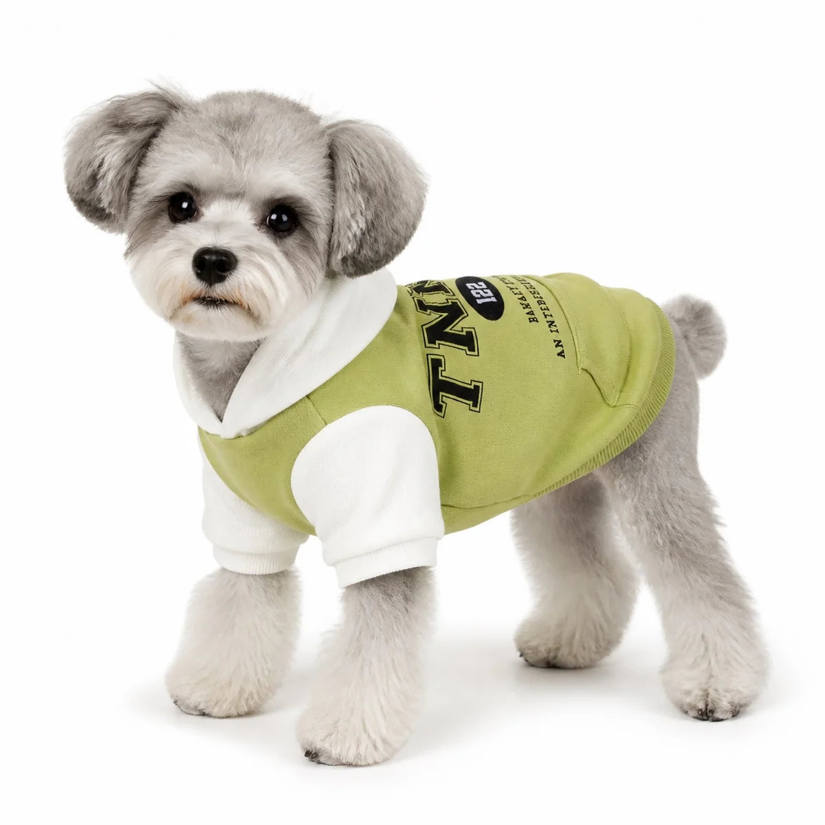 Green fleece lined green color-block dog hoodie worn by a pet on a white background