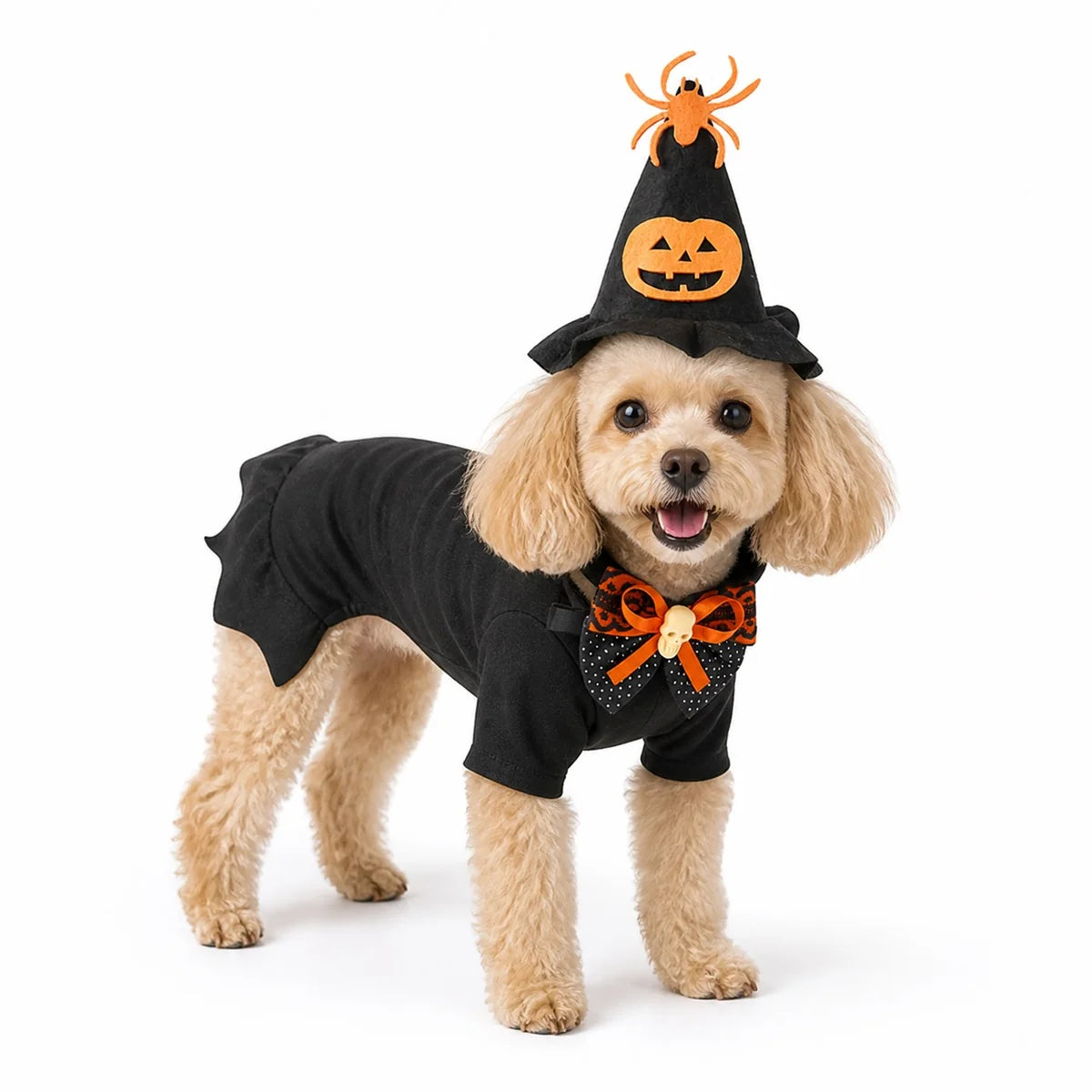 Black bat cape set halloween pet costume set worn by a pet on a white background, image 3