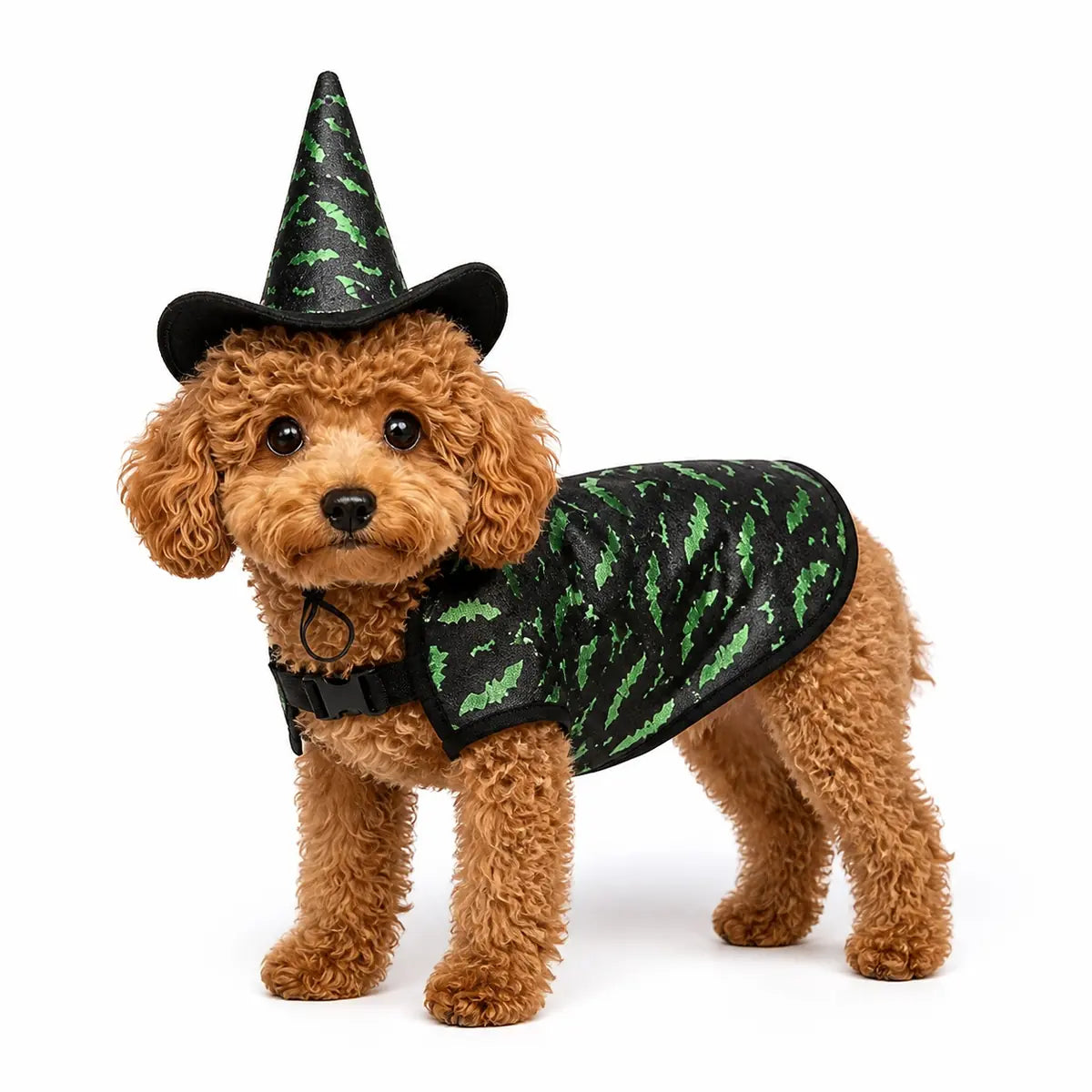 Black green witch hat halloween pet costume set worn by a pet on a white background, image 5
