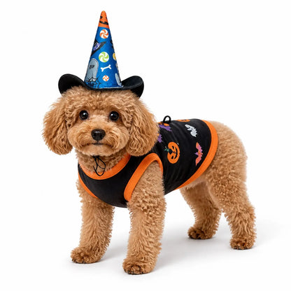 Black orange witch hat halloween pet costume set worn by a pet on a white background, image 6