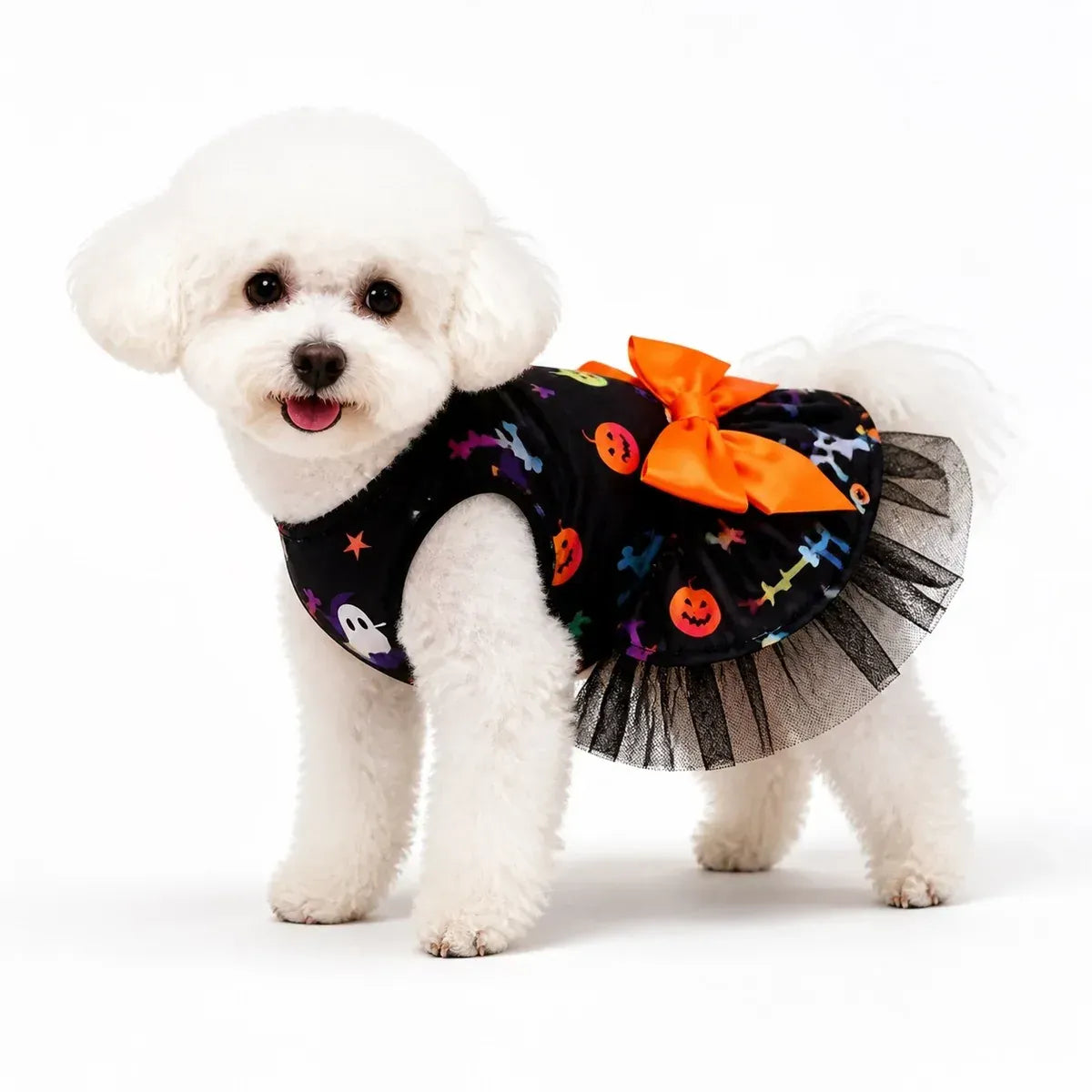 White dog wearing a black Halloween pet dress with a layered tulle skirt and orange bow
