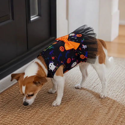 Small dog wearing a black tulle Halloween pet dress indoors