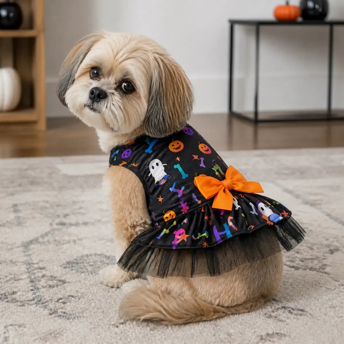 Small dog wearing a black Halloween dress with a layered tulle skirt indoors