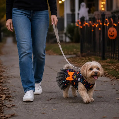 Dog wearing a Halloween pet dress during an outdoor walk