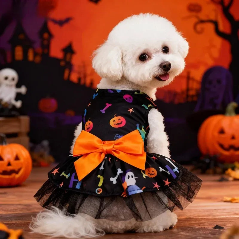 White dog wearing a colorful Halloween print tulle dress with an orange bow in a pumpkin scene