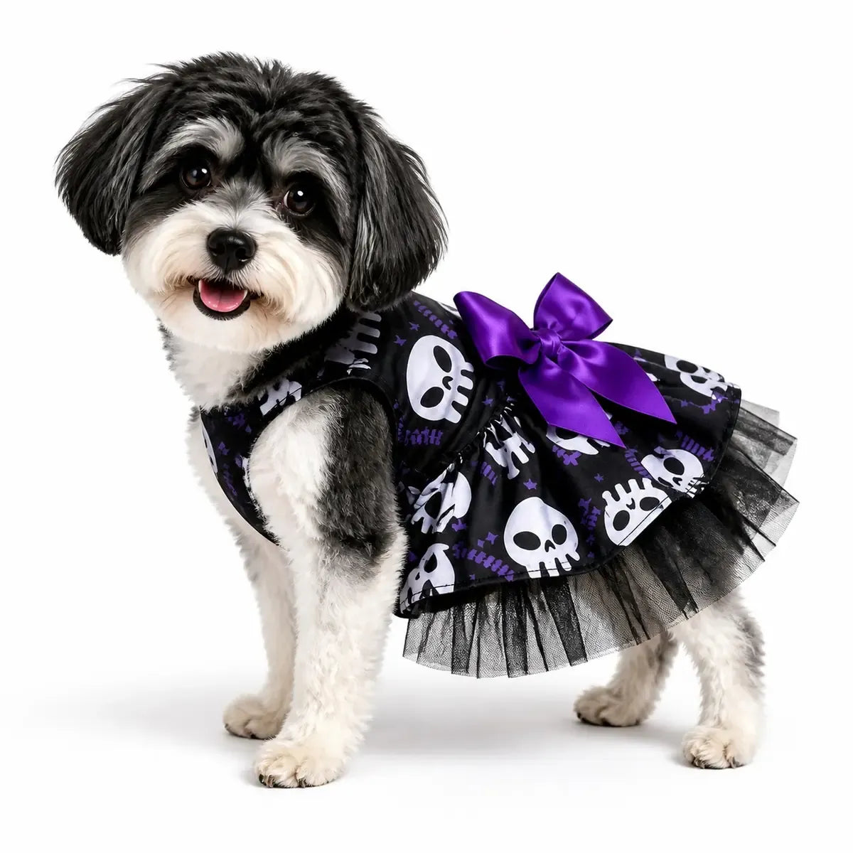 Black and white dog wearing a purple bow Halloween pet dress