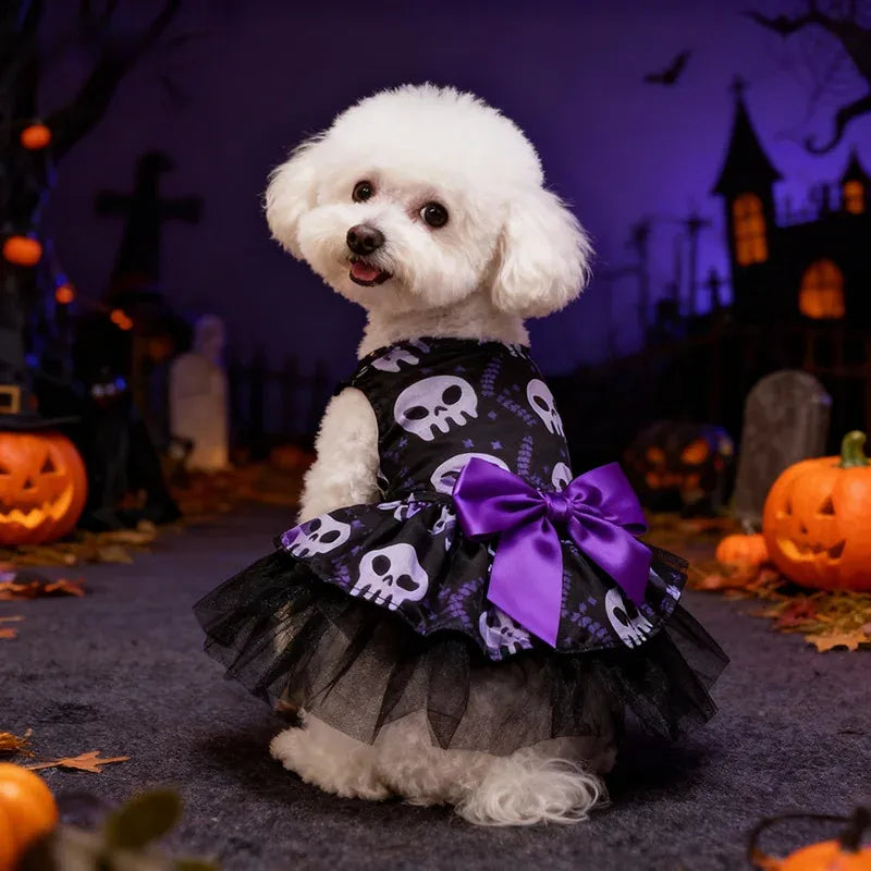 White dog wearing a black skull print tulle dress with a purple bow in a Halloween scene