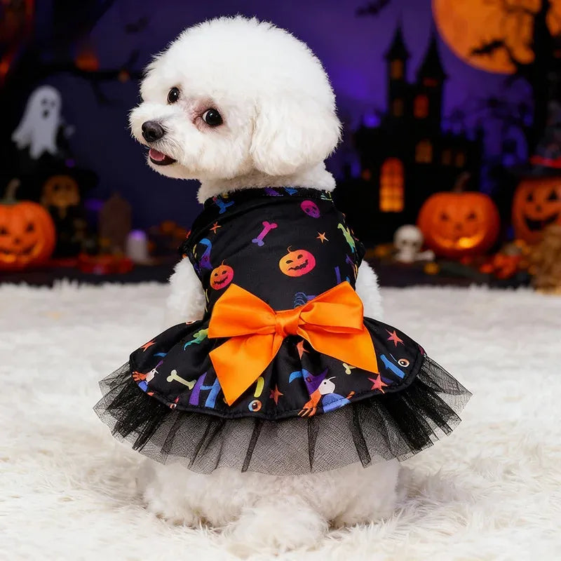 White dog wearing a black Halloween pet dress with an orange bow and tulle skirt in a Halloween scene