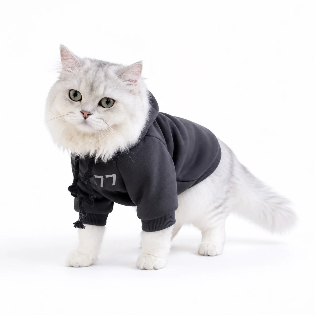 Charcoal fleece lined hooded cat sweatshirt worn by a pet on a white background