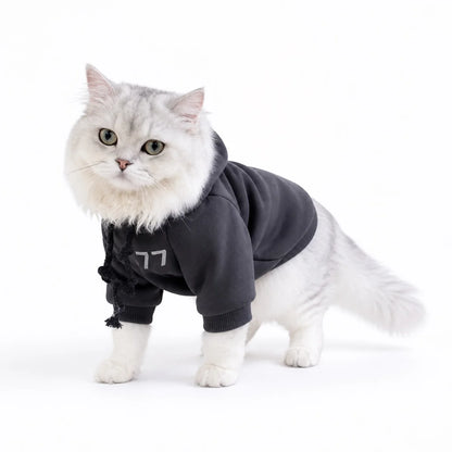 Charcoal fleece lined hooded cat sweatshirt worn by a pet on a white background