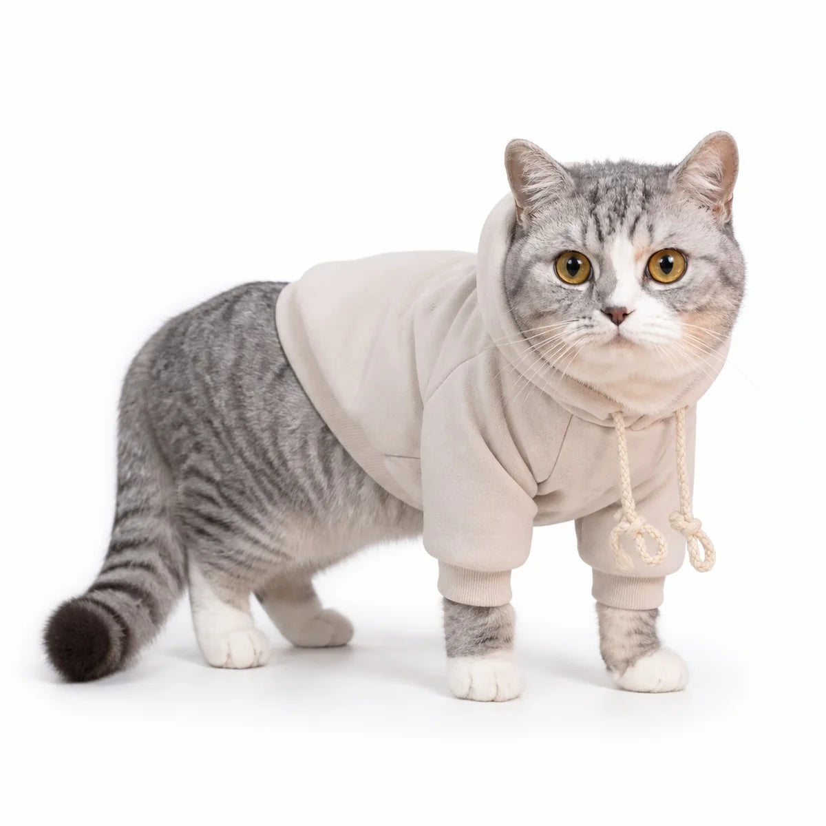 Cream fleece lined hooded cat sweatshirt worn by a pet on a white background