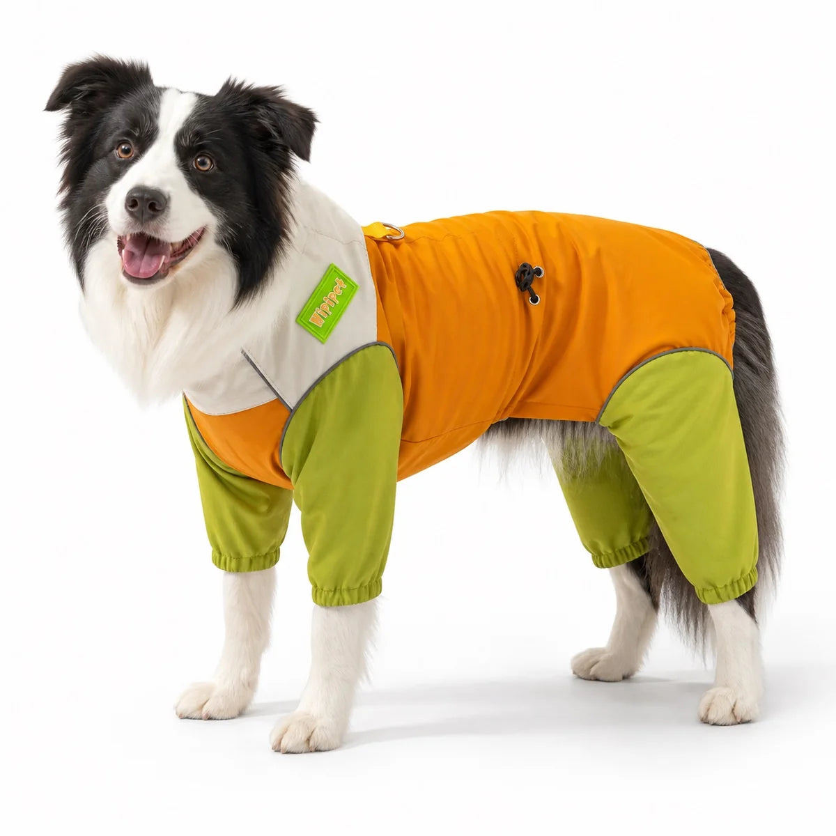 Yellow hooded dog rain jacket worn by a pet on a white background