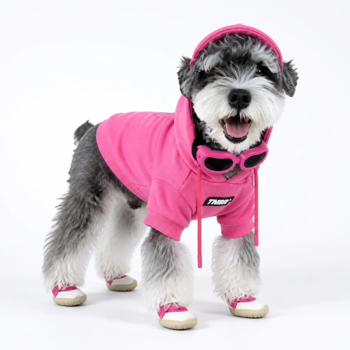 dog wearing a Pink hooded dog sweatshirt