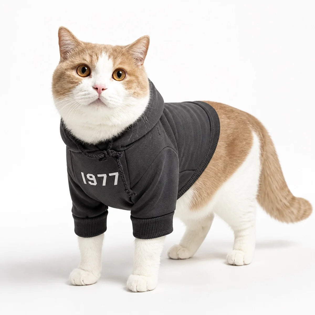 Black fleece lined hooded fleece cat sweatshirt worn by a pet on a white background, image 3