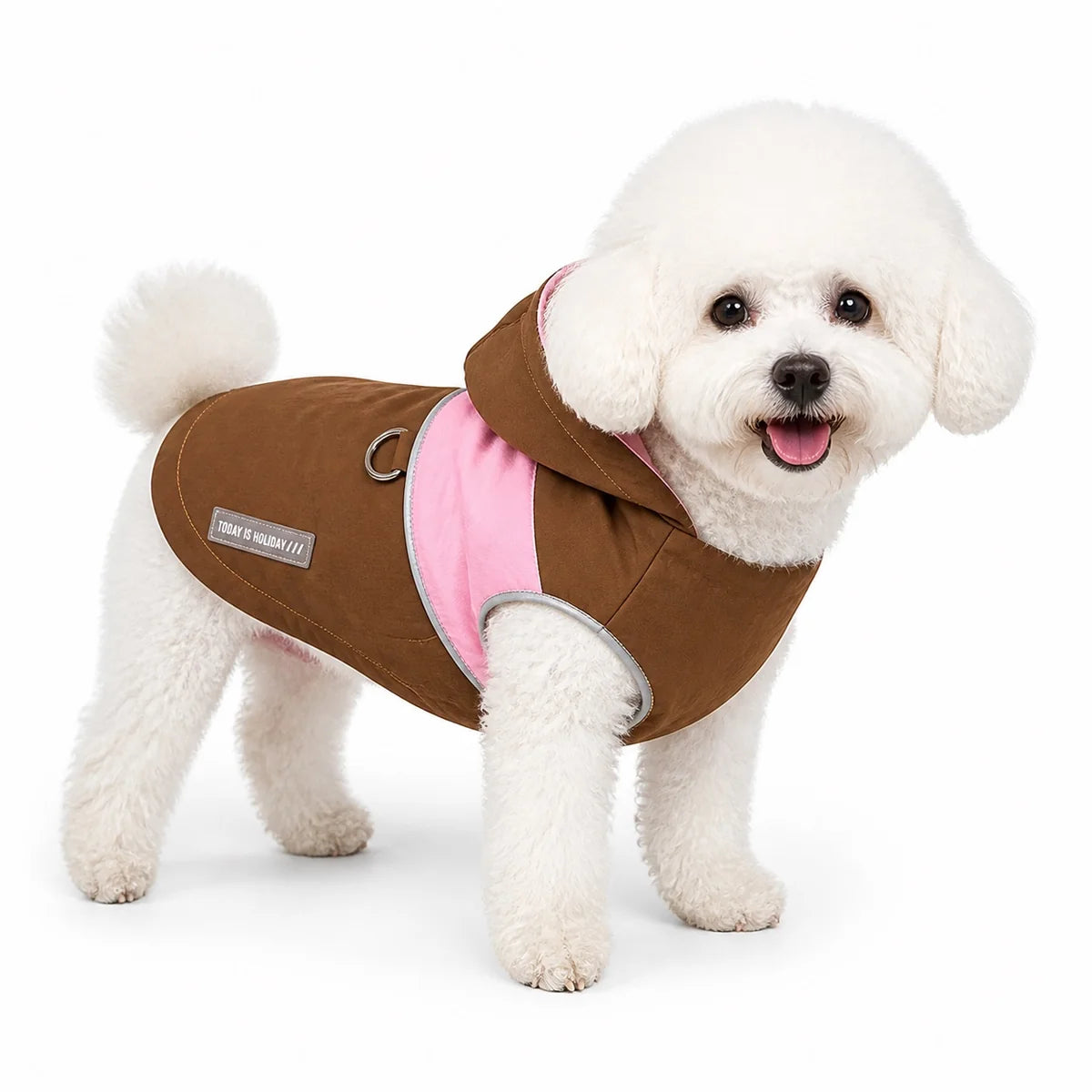 dog wearing a Caramel hooded waterproof dog coat