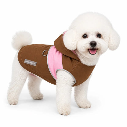dog wearing a Caramel hooded waterproof dog coat