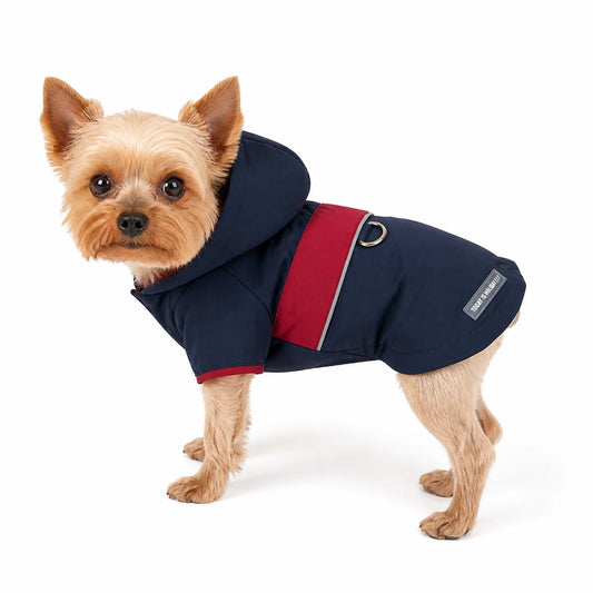 dog wearing a Navy hooded waterproof dog coat