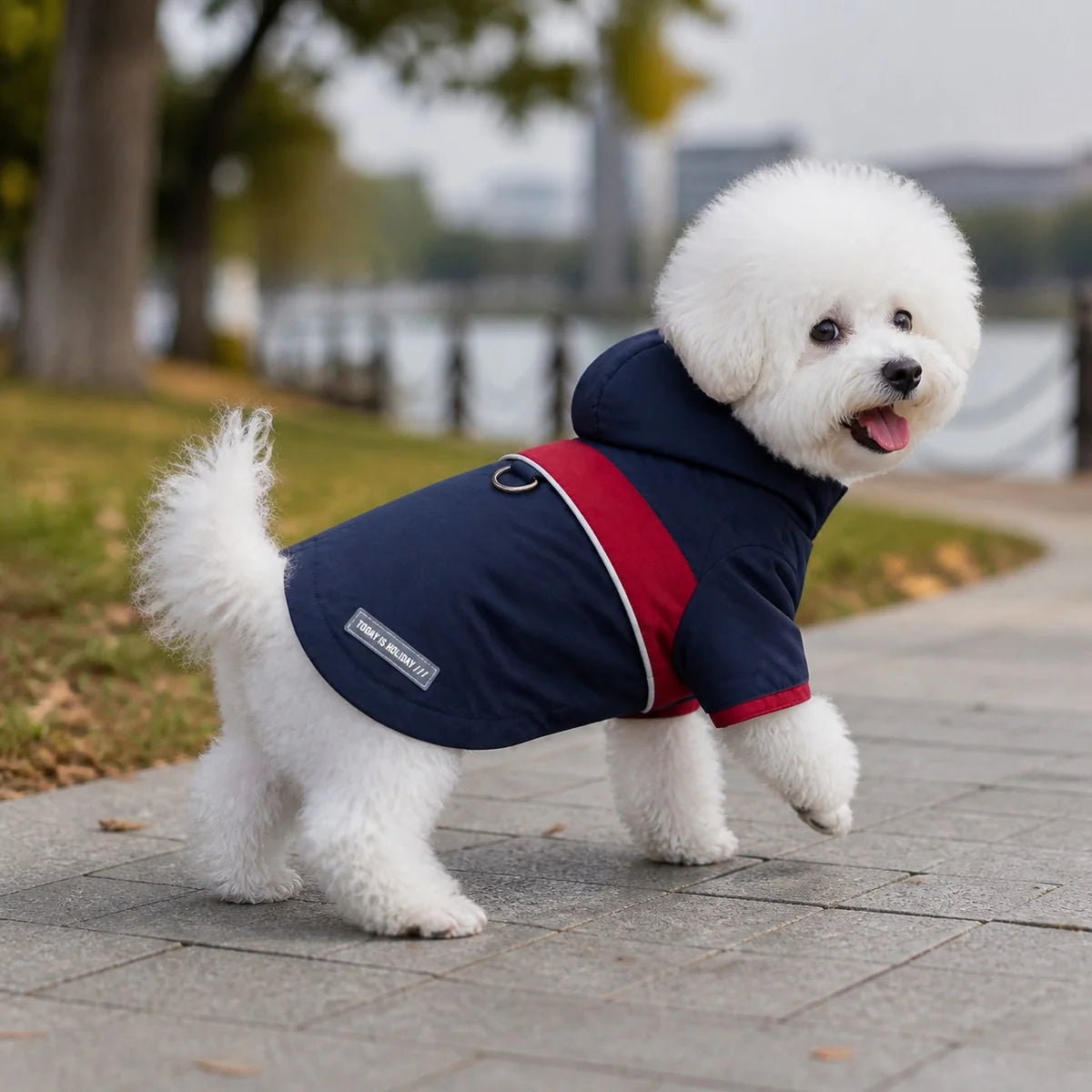 Navy hooded waterproof dog coat lifestyle view