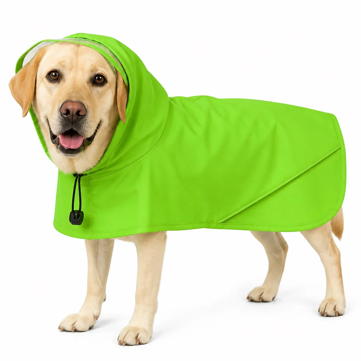 Neon Green Full-Coverage Rainwear for dogs, pet wearing