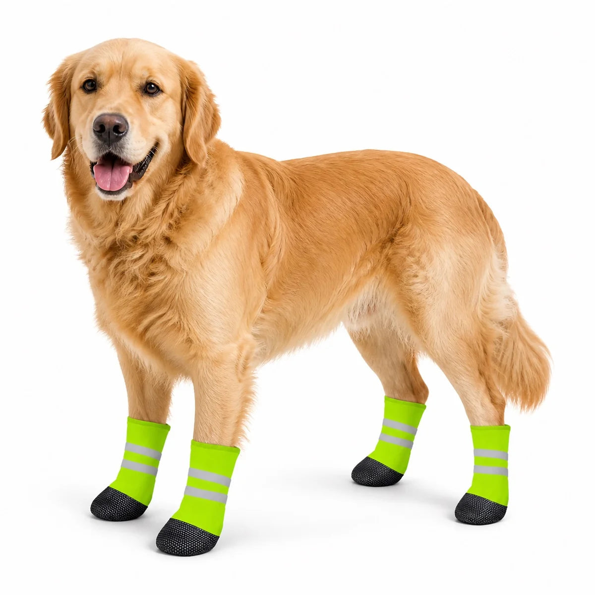 Neon Green Paw Socks for dogs, pet wearing