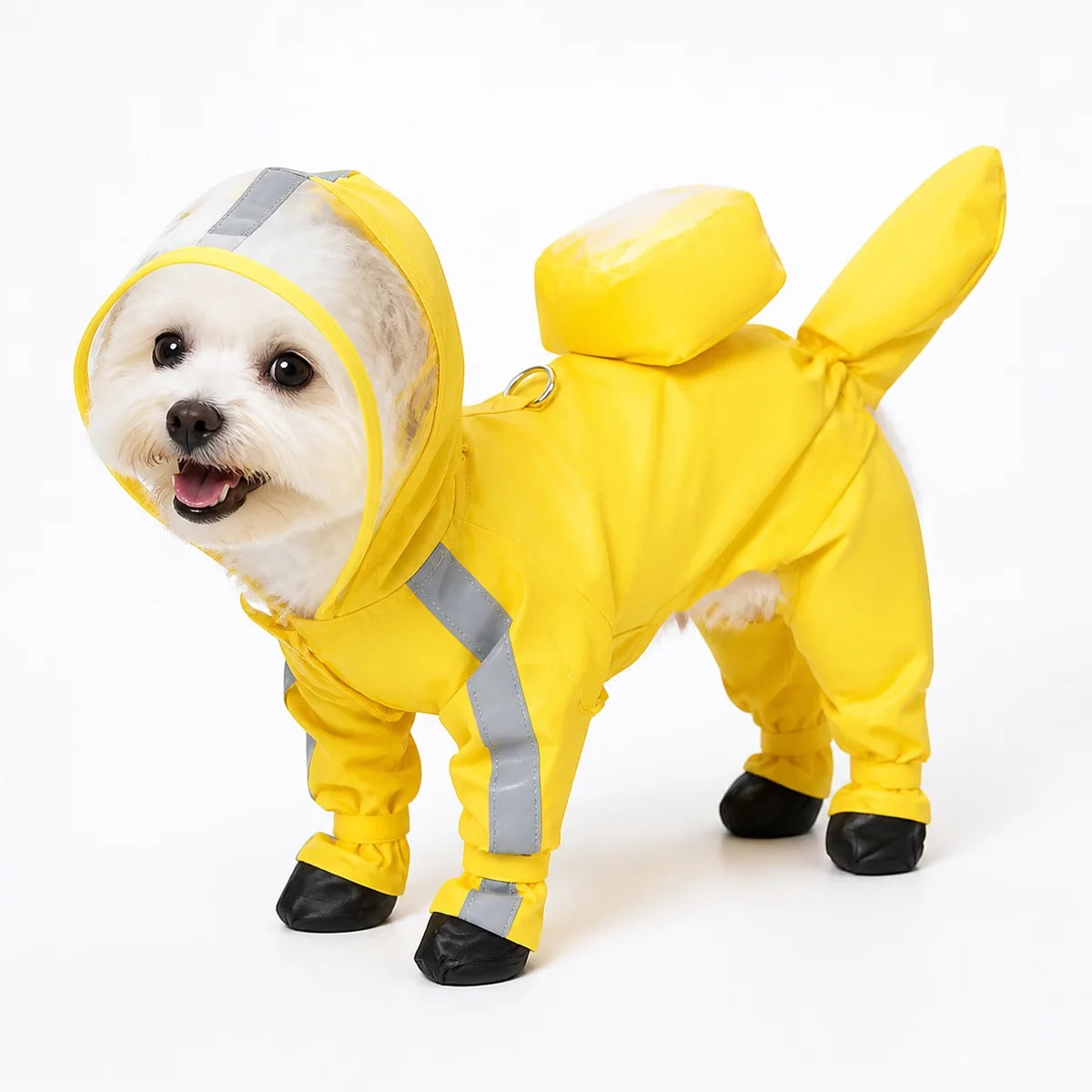Light Blue Leash Rainwear for dogs, pet wearing