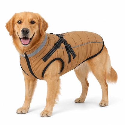 dog wearing a Caramel padded dog coat with harness straps