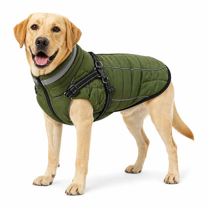dog wearing a Green padded dog coat with harness straps