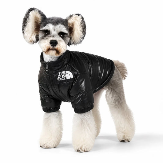 dog wearing a Black padded dog jacket