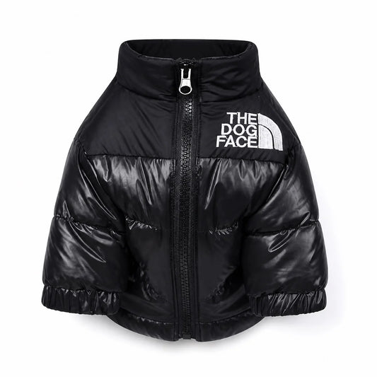 Black padded dog jacket shown alone on a white background