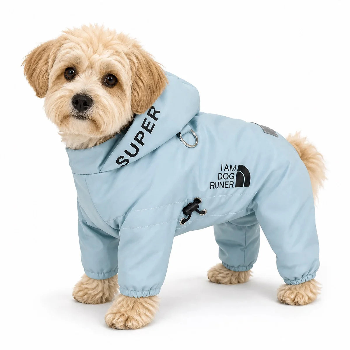 dog wearing a Blue padded four-leg dog coat