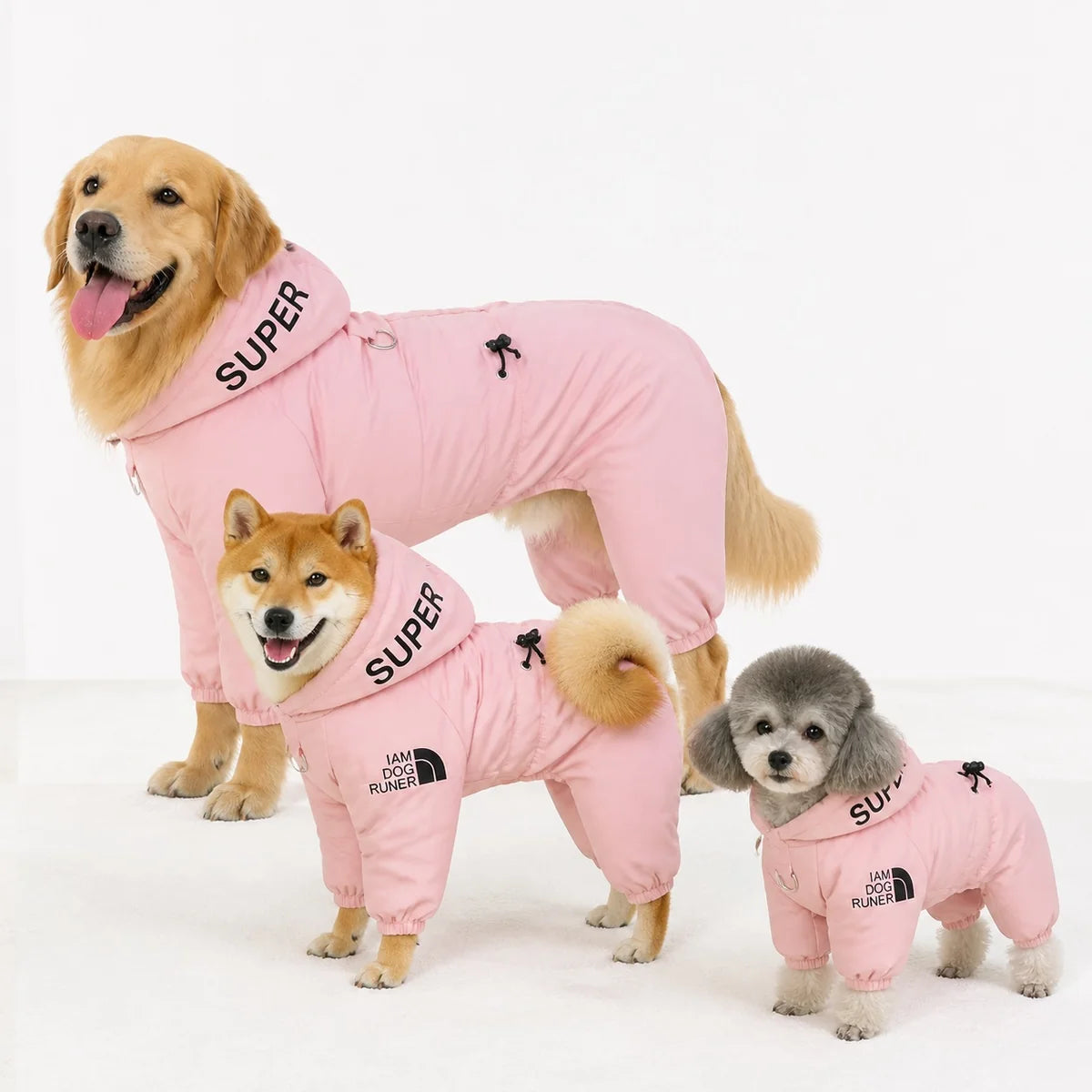 padded four-leg dog coat multi-breed showcase