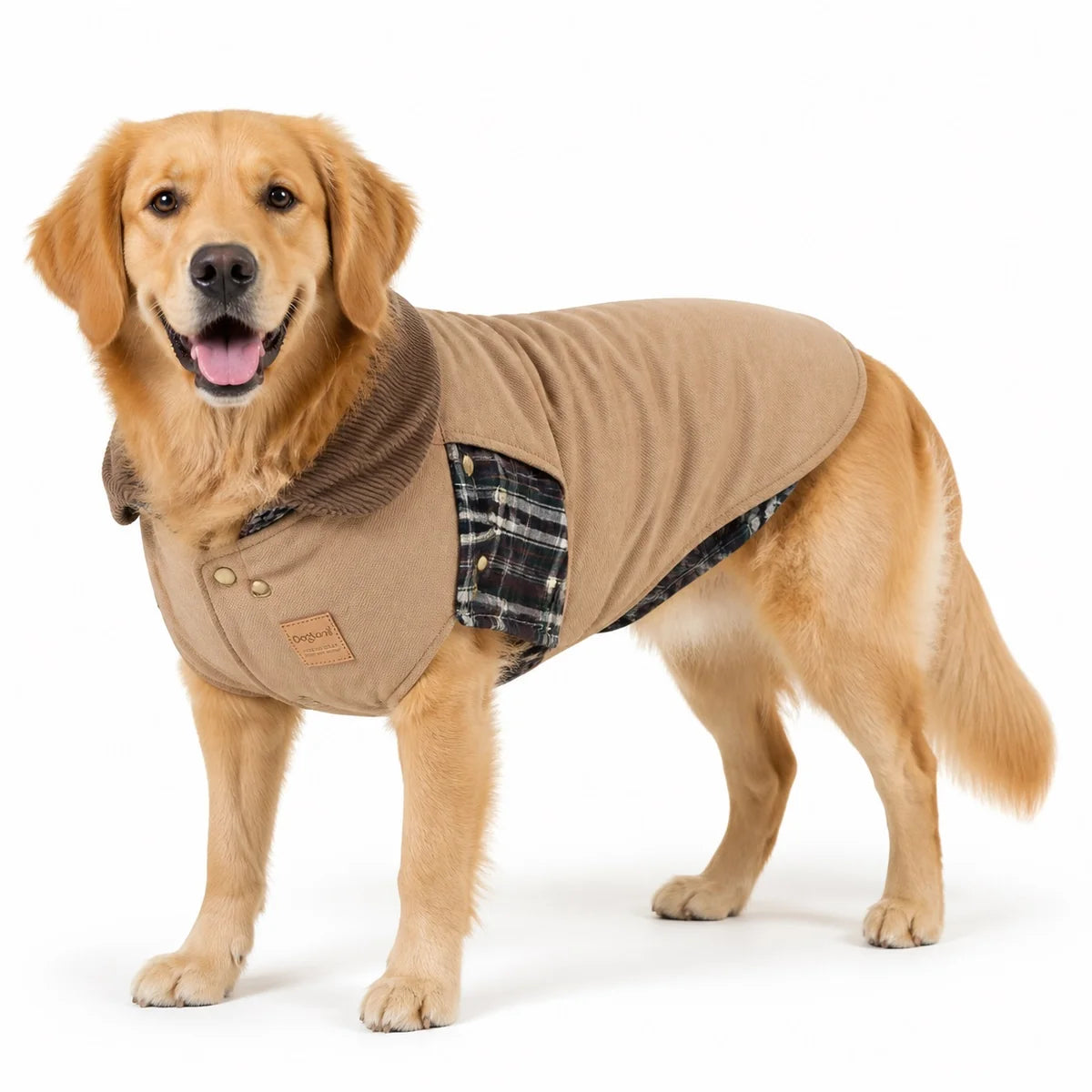 Khaki padded large dog coat worn by a pet on a white background