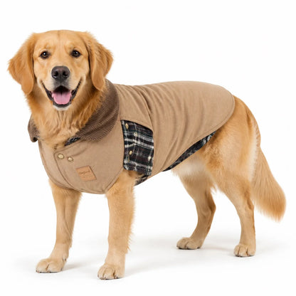 Khaki padded large dog coat worn by a pet on a white background