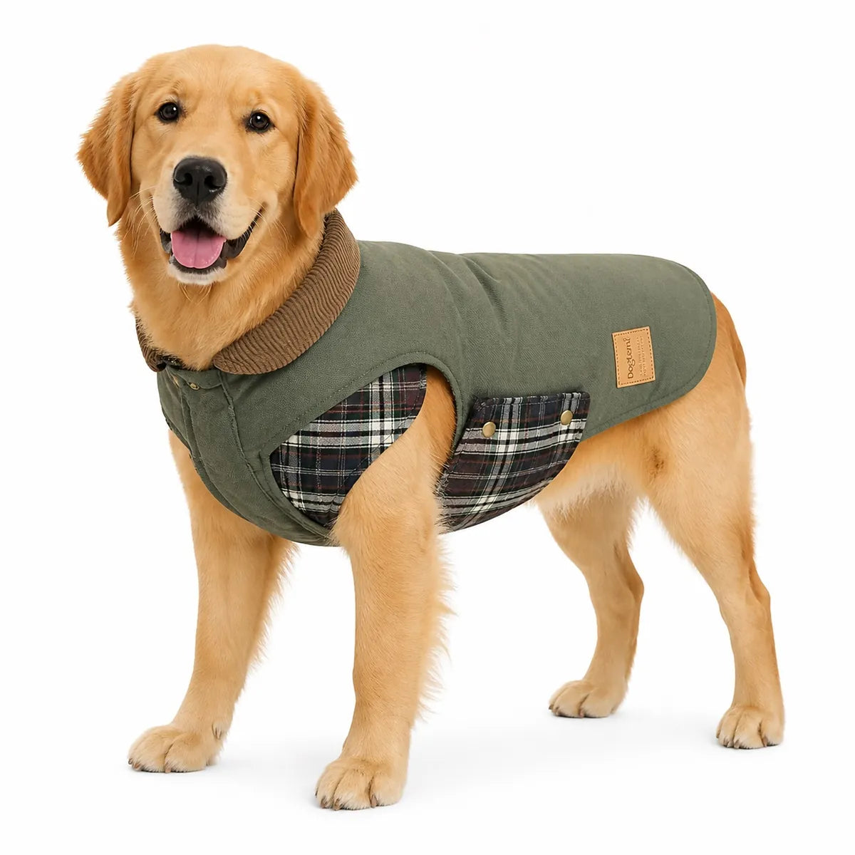 Olive Green padded large dog coat worn by a pet on a white background