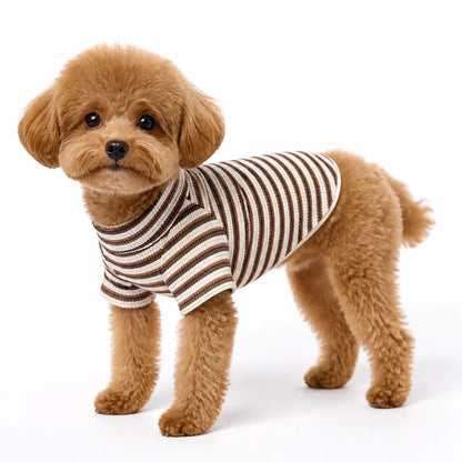 small dog or cat wearing a Brown Stripe Base Layer padded plaid varsity dog jacket