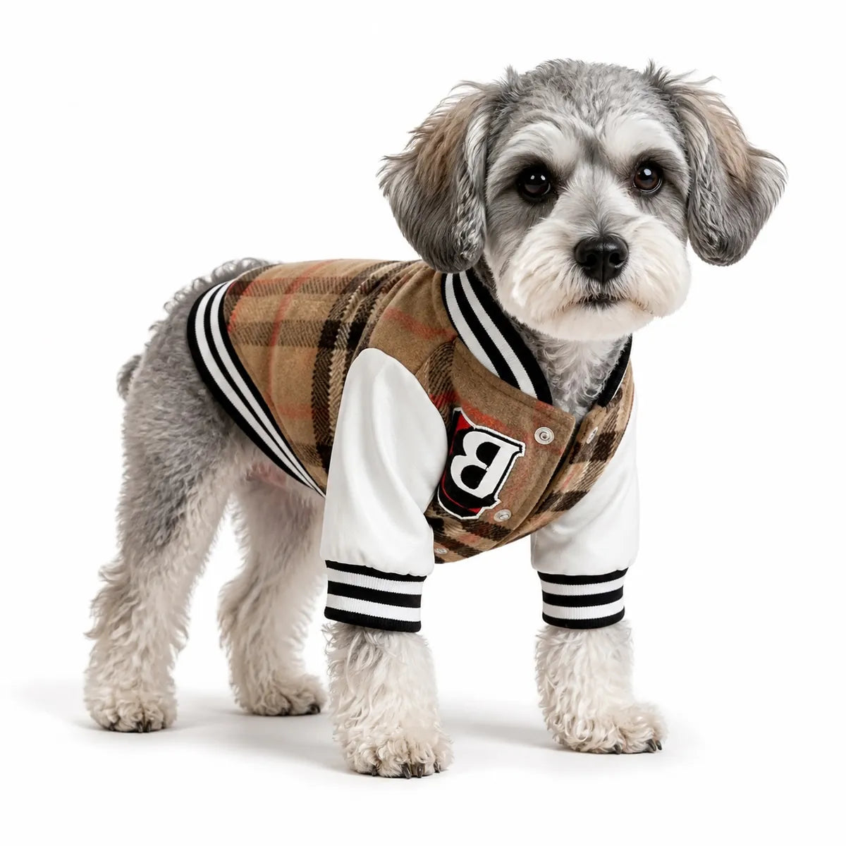 small dog or cat wearing a Tan Plaid Varsity padded plaid varsity dog jacket