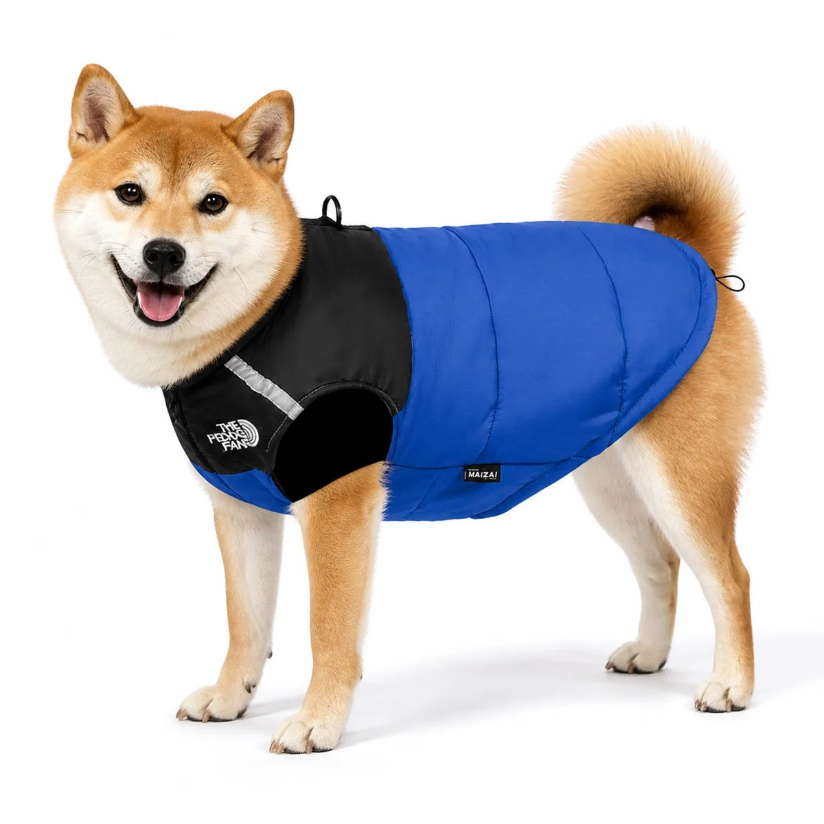 Royal Blue clearance color padded waterproof dog coat worn by a pet on a white background, image 6