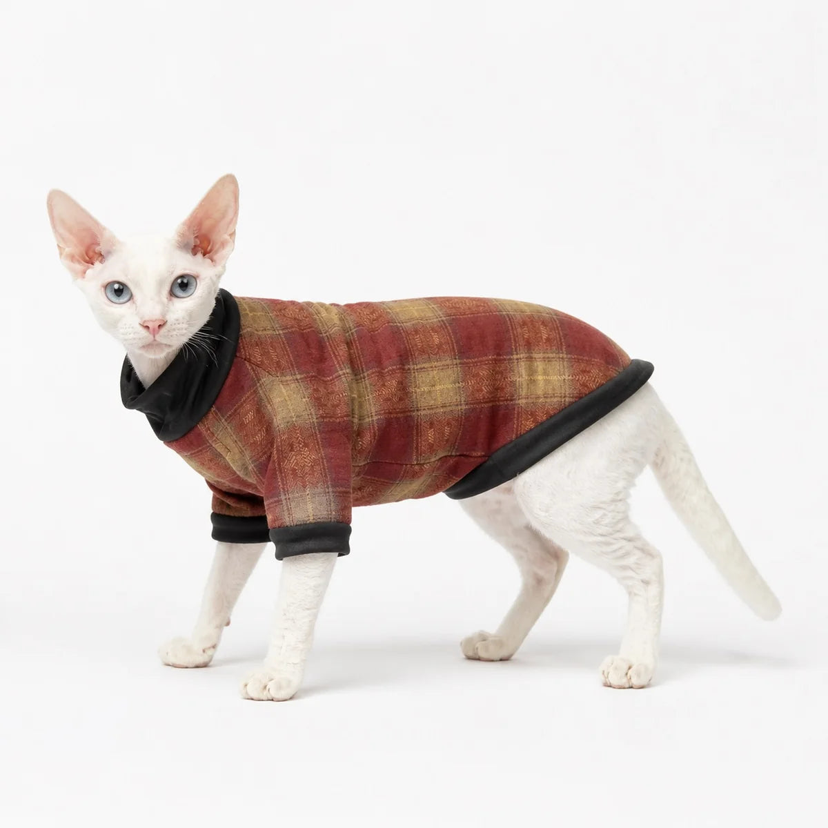 Red plaid cat shirt worn by a pet on a white background