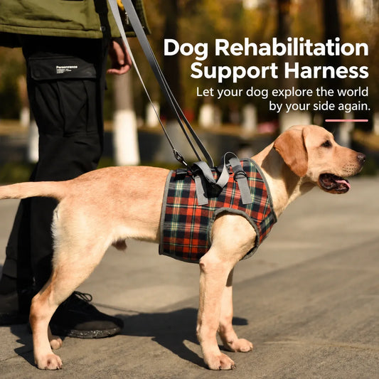 Senior Dog Rear Leg Support Harness - Gentle Mobility Support for Weak Hind Legs