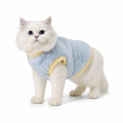 cat wearing a Blue plush cat vest