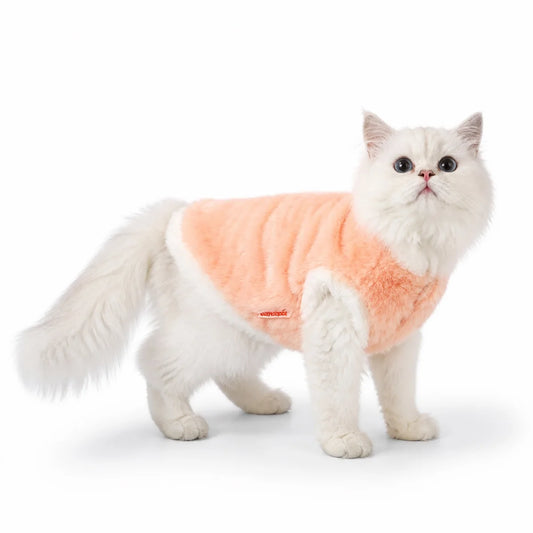 cat wearing a Orange plush cat vest
