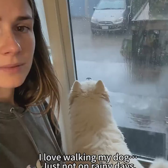 Short product video showing a dog wearing an orange tiger print full-coverage raincoat