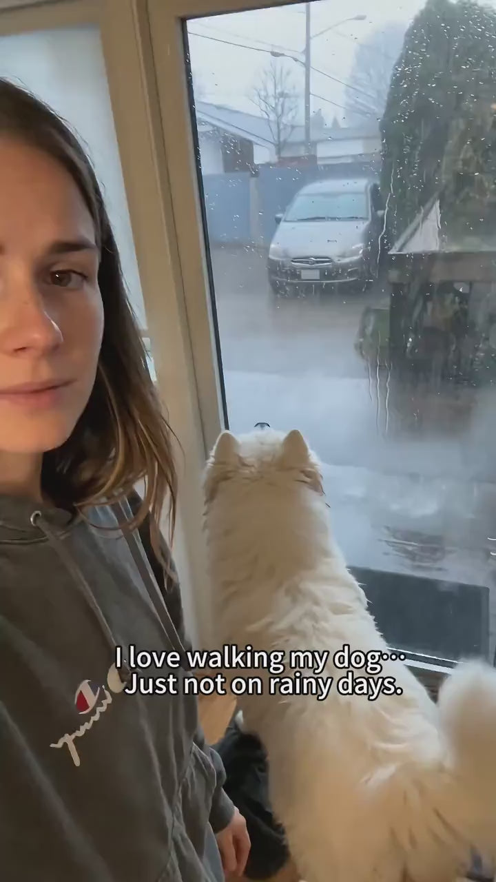 Short product video showing a dog wearing an orange tiger print full-coverage raincoat