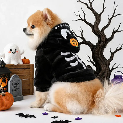 Small dog in a black hooded skeleton costume with a pumpkin emblem during Halloween