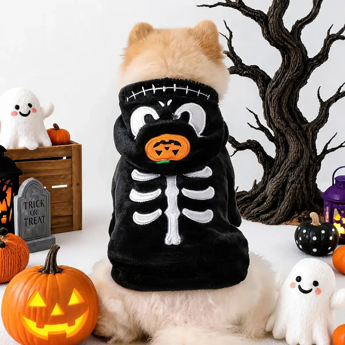Back view of a black hooded dog costume with embroidered skeleton and pumpkin details