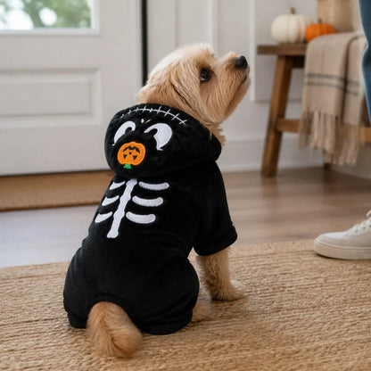 Small dog sitting indoors in a black pumpkin skeleton costume