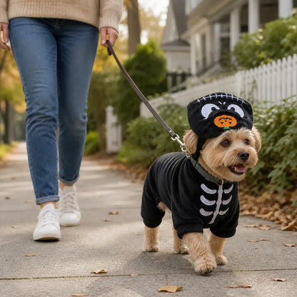 Dog wearing a black pumpkin skeleton costume on an outdoor walk