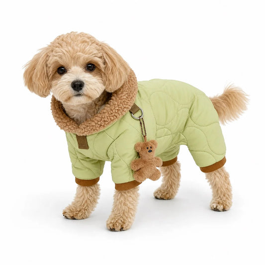 dog wearing a Light Green quilted four-leg dog coat with plush collar
