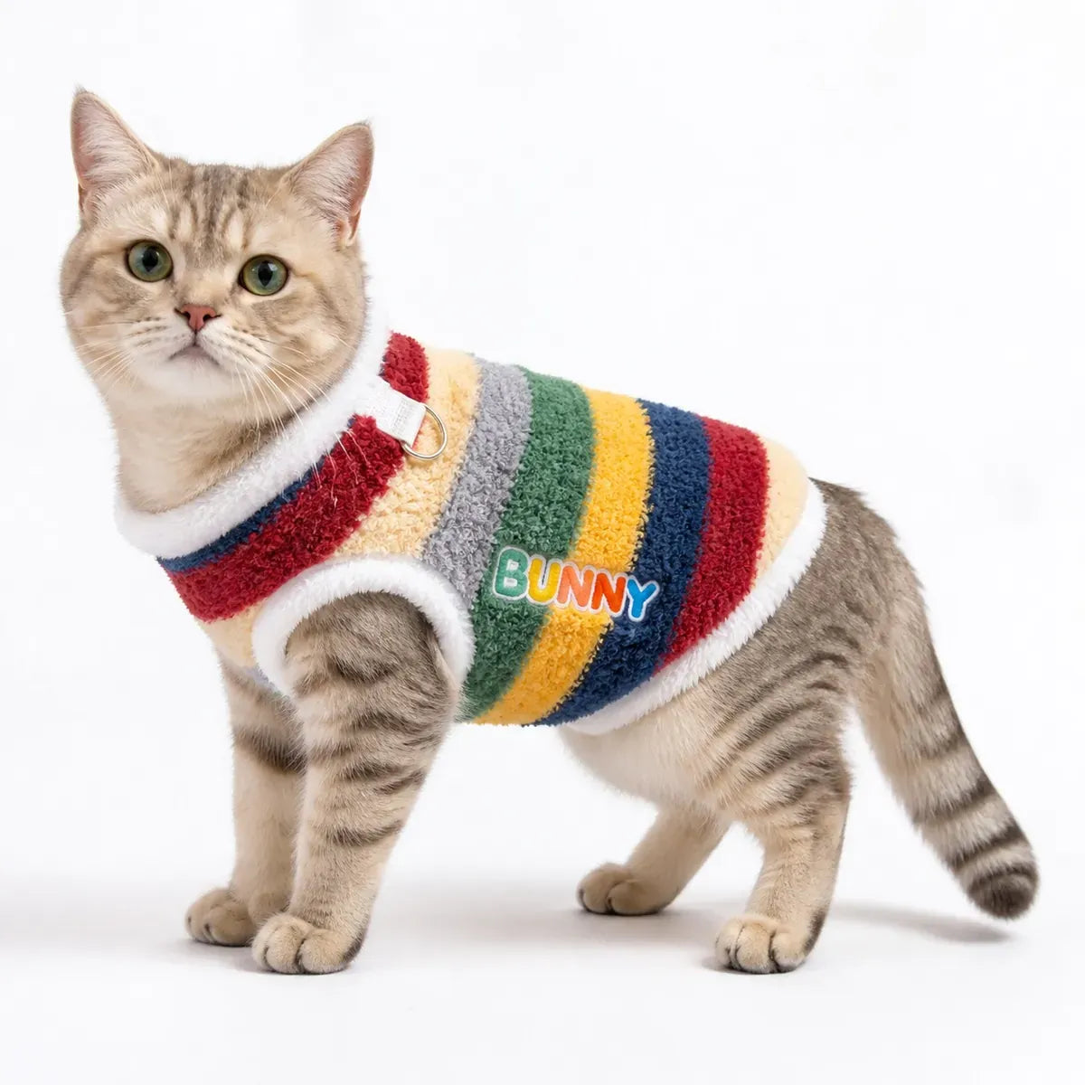 Blue Rainbow Stripe Dog Vest worn by a dog on a white background