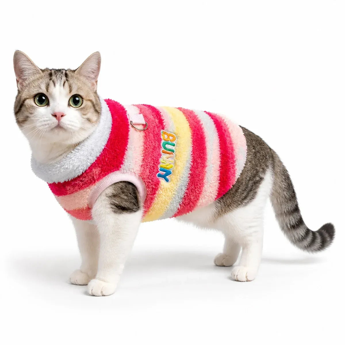 Red Rainbow Stripe Dog Vest worn by a dog on a white background
